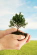 Inter-action trainers come from a variety of backgrounds, yet have organsiational experience